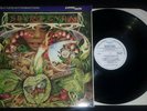 1980 Spyro Gyra MORNING DANCE LP NAUTILUS NR9 Half Speed Mastered Superdisc VG++