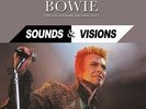 David Bowie - Sounds & Visions VINYL LP LTD EDITION HAND NUMBERED GREY VINYL