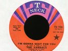 THE VANDALS I'm Gonna Wait for You on T-Neck Promo Sweet Soul 45 Hear