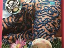 Jellyfish - Bellybutton LP 1990 charisma Promo 12