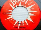 THE VELONS strong vg++ original BLAST doo-wop 45 SHELLY b/w FROM THE CHAPEL KZ97