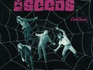 THE SEEDS  a web of sound U.S. GNP LP_original 1968 GARAGE PUNK  GNP-2033