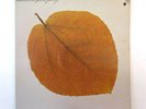 PETE JOLLY SEASONS 1970 WLP PROMO VINYL LP A&M SP-3033 GATEFOLD Rare Jazz Funk
