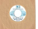 VINNIE ZEN & ROGUES  Northern 45  Bricks, Broken Bottles And Sticks - NM