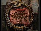 Cattle Decapitation ?- Decade Of Decapitation 6 x LP NEW Colored Vinyl Box Set