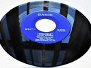 Mood Makers Dolores / Dream A Dream 1961 Bambi 8000 Rare Doowop Group 45rpm VG+