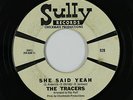 Garage Fuzz 45 - Tracers - She Said Yeah - Sully - mp3