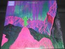 DINOSAUR JR - GIVE A GLIMPSE OF WHAT YER NOT  2016 JAGJAGUWAR SIGNED INSERT MINT