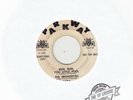 The Bronzettes ?– Hot Spot / Run, Run, You Little Fool Parkway ?– P-929 PROMO 45