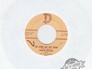 Willie Nelson ?– The Storm Has Just Begun / Man With The Blues - D-1084 - 45 rpm