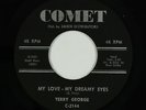 Doo-Wop/R&B Soul 45 - Terry George - My Love - My Dreamy Eyes - Comet - VG+ mp3
