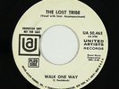 Garage Psych 45 - Lost Tribe - Walk One Way - United Artists - mp3