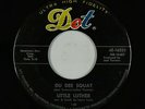 Blues R&B Rocker 45 - Little Luther - Du Dee Squat - Dot - mp3