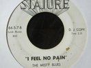 garage rock mod 45 THE MISTY BLUES i feel no pain STATURE listen