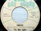 BLEU LIGHTS strong VG BAY SOUND soul 45 FOREVER / THEY DON'T KNOW MY HEART FM130