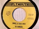 THE (Rockin) RAMRODS Mister Wind Bright Lit Blue Skies Boston Garage 7