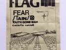 Black Flag Fear Stains Poster Raymond Pettibon Punk Flyer