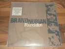 BRAND NUBIAN FOUNDATION LP 12