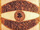 BEVIS FROND - Superseeder - 2 LP 1995 Fire