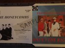 MEGA SALE:5 SLEEVES 14.99:THE HONEYCOMBS:THE ACTION:STEPPENWOLF :RECORD SLEEVE