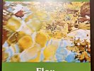 BRUNO NICOLAI - FLOU LP - 1975 LOUNGE GIALLO & soft PSYCH Italian Library SCORE