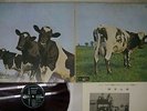 PINK FLOYD ATOM HEART MOTHER ODEON OP-80102 Japan Red Vinyl VINYL LP