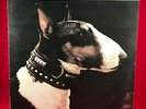 PIXIES Here Comes Your Man 1989 UK 4-track 12
