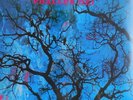 AMON DÜÜL II phallus dei LP NEU OVP/Sealed