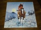 FABRIZIO DE ANDRE INDIANO LP VINILE 33 GIRI SMRL S-6281/1 RICORDI ITA 1981 RARO