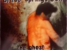 Bruce Springsteen, The Ghost of Tom Joad, Columbia C 67484, NM, 1st Pressing