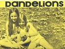 PASTE ON COVER PRIVATE PRESS FOLK ROCK PSYCH OUTSIDER CHILDREN DANDELIONS LP