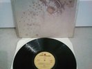 Family  ?– Anyway Vinyl 12