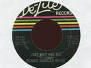 REGGIE SADDLER REVUE Just Wait and See R.R.A.W.J. on De-Lite XO Soul 45 Hear