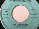 RARE Gospel Soul 45/ Seven Revelators 