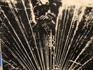 EDDIE PALMIERI  HARLEM RIVER DRIVE