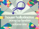 2xLP Sleezy D, Jungle wonz a.o. House Hallucinates Pump Up London Volume One