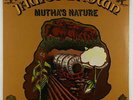 James Brown & The New J.B.'s - Mutha's Nature LP - Polydor