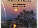 Dynamic Buzz & Sue - Gonna Be A Fine Day LP - Obscure Lounge Soul/Funk VG+ MP3