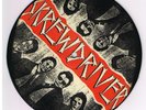 UK PUNK 77 OI  Skin isd rebelles ror You're so dumb  picture Disc