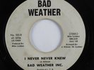 70s Soul 45 BAD WEATHER INC. I Never Never Knew BAD WEATHER HEAR