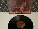 At The Gates ?– Slaughter Of The Soul LP Vinyl Agalloch,Beherit,Dissection