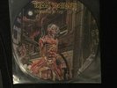 Iron Maiden 12 Inch Picture Disc Somewhere In Time