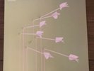 Modest Mouse Good News For People Who Love Bad News Vinyl Record