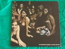 JIMI HENDRIX - ELECTRIC LADYLAND  VINILE UK REISSUE DEL '73 SU POLYDOR