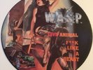W.a.s.p Live Animal F**K Like A Beast 12” Pict Disc Heavy Metal Rock Kut106 1988