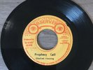 GLASFORD MANNING - Prophecy Call, 7” Vinyl Roots reggae JA (Observer)