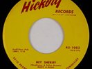RUSTY & DOUG: Hey Sheriff US Hickory Rockabilly Country Bopper 45 NM- MP3