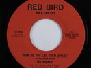 Soul Funk 45 BAGDADS How Do You Like Them Apples RED BIRD VG+ HEAR