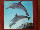 Orange Juice - You Can't Hide Your Love Forever GER LP 1982    TOP MINT   RARE