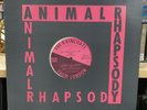 The Raincoats Animal Rhapsody 1983 12